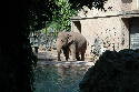 228_Zoo.htm