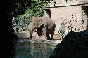 229_Zoo.htm