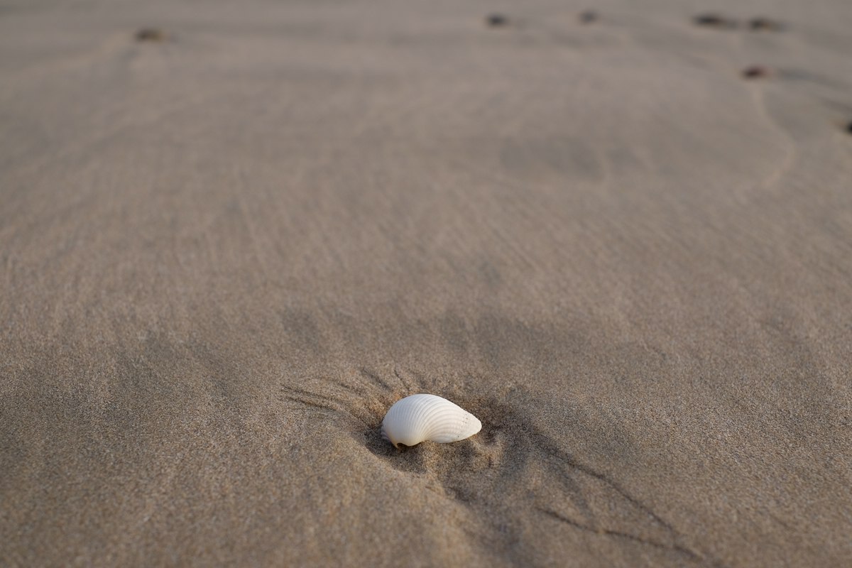 Strand und Landschaft Plage Blanche