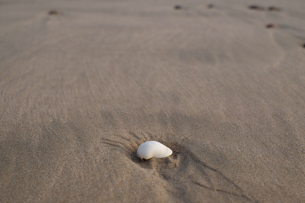 Plage Blanche