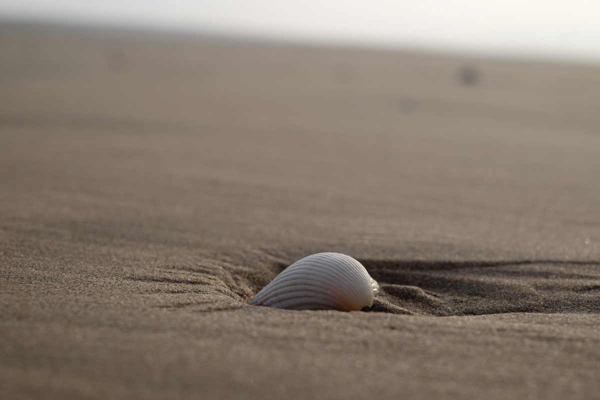 Strand und Landschaft Plage Blanche
