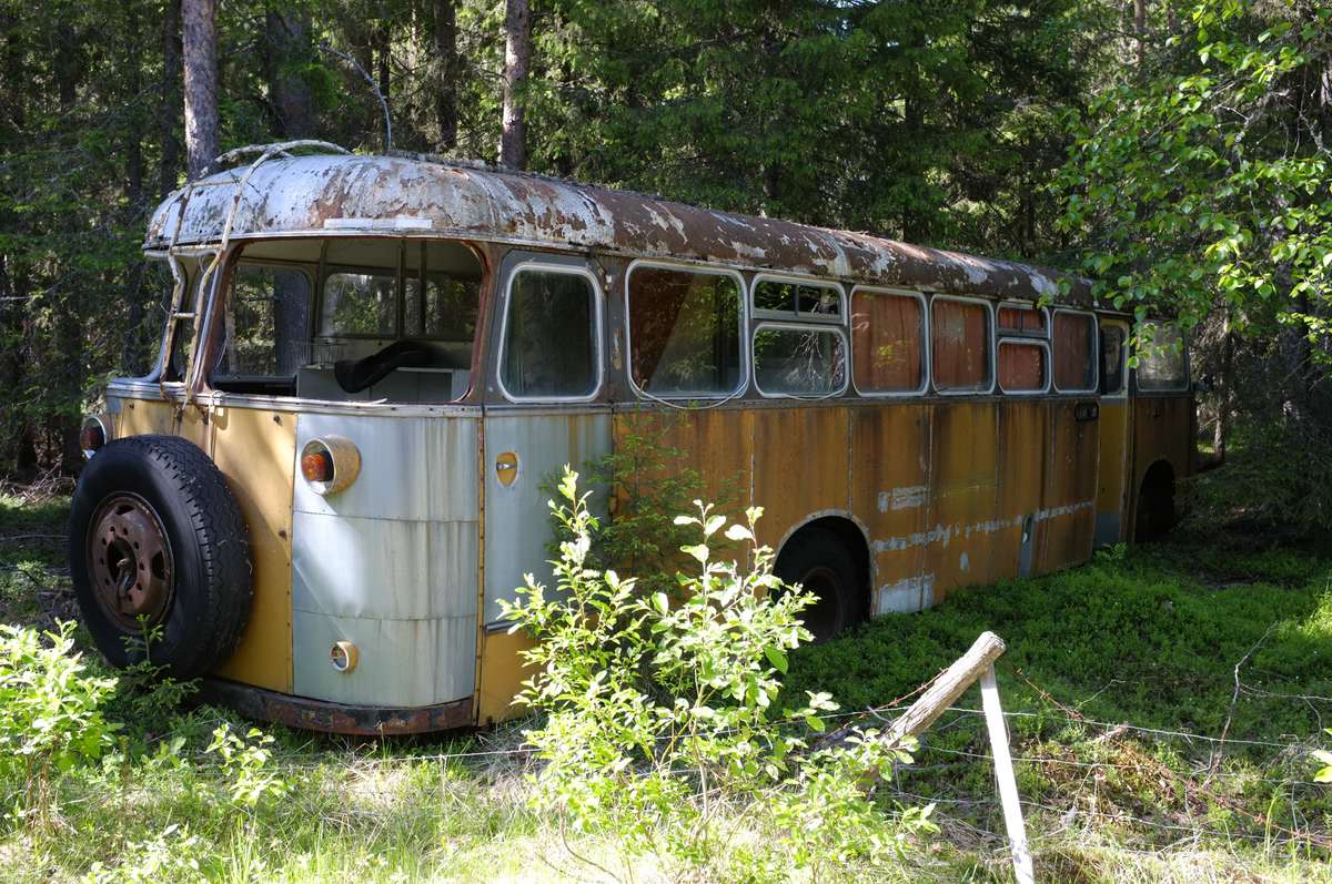 Finnland Bus