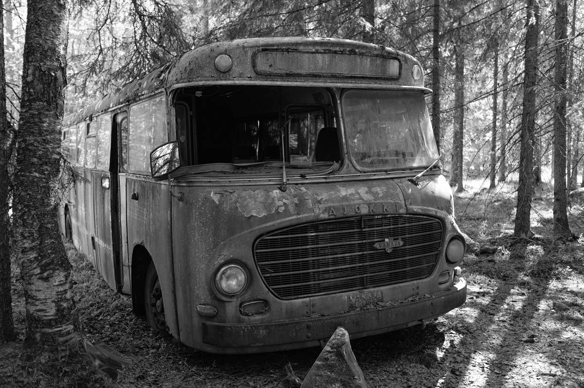 Bus Landschaft