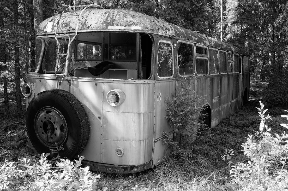 Bus Landschaft