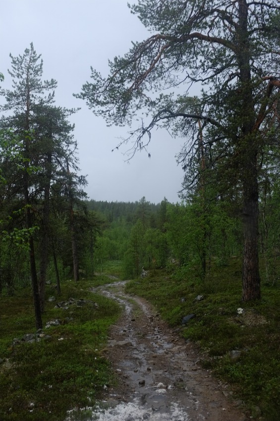 Finnland gegen Norden