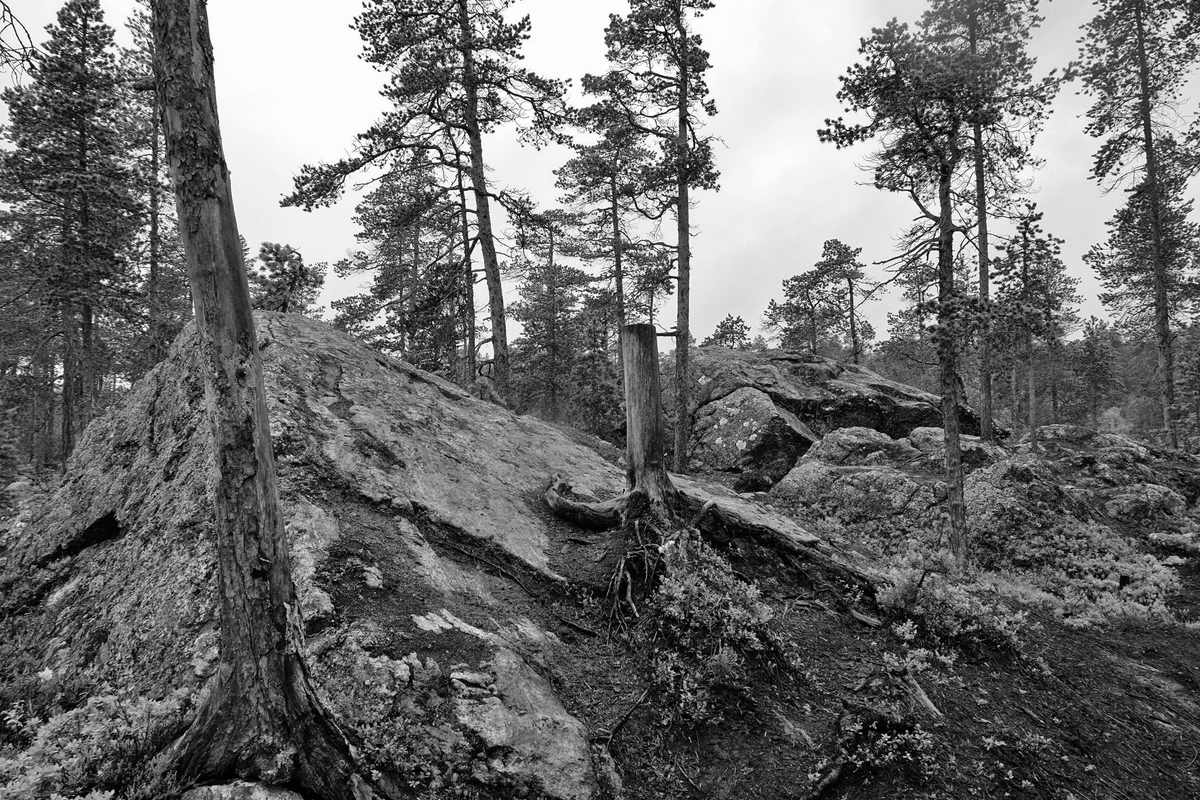 Finnland inari