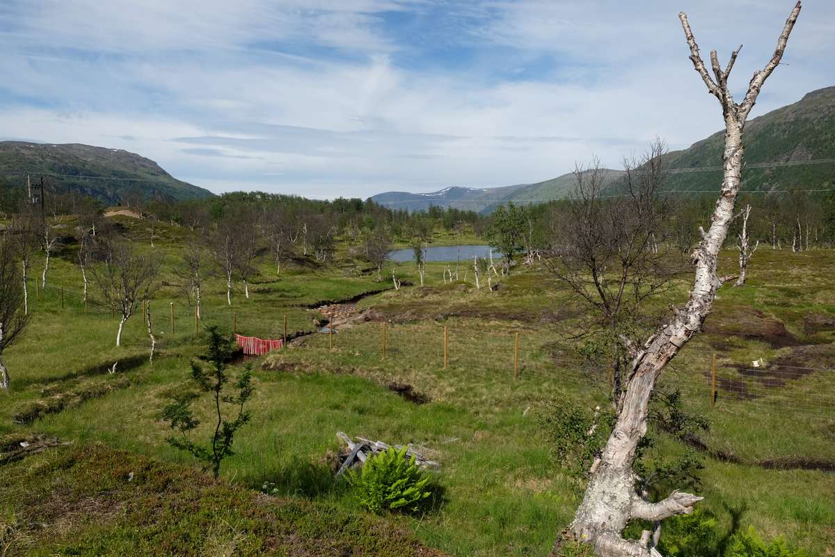 Norwegen Stellplatz