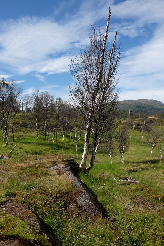 Norwegen Stellplatz