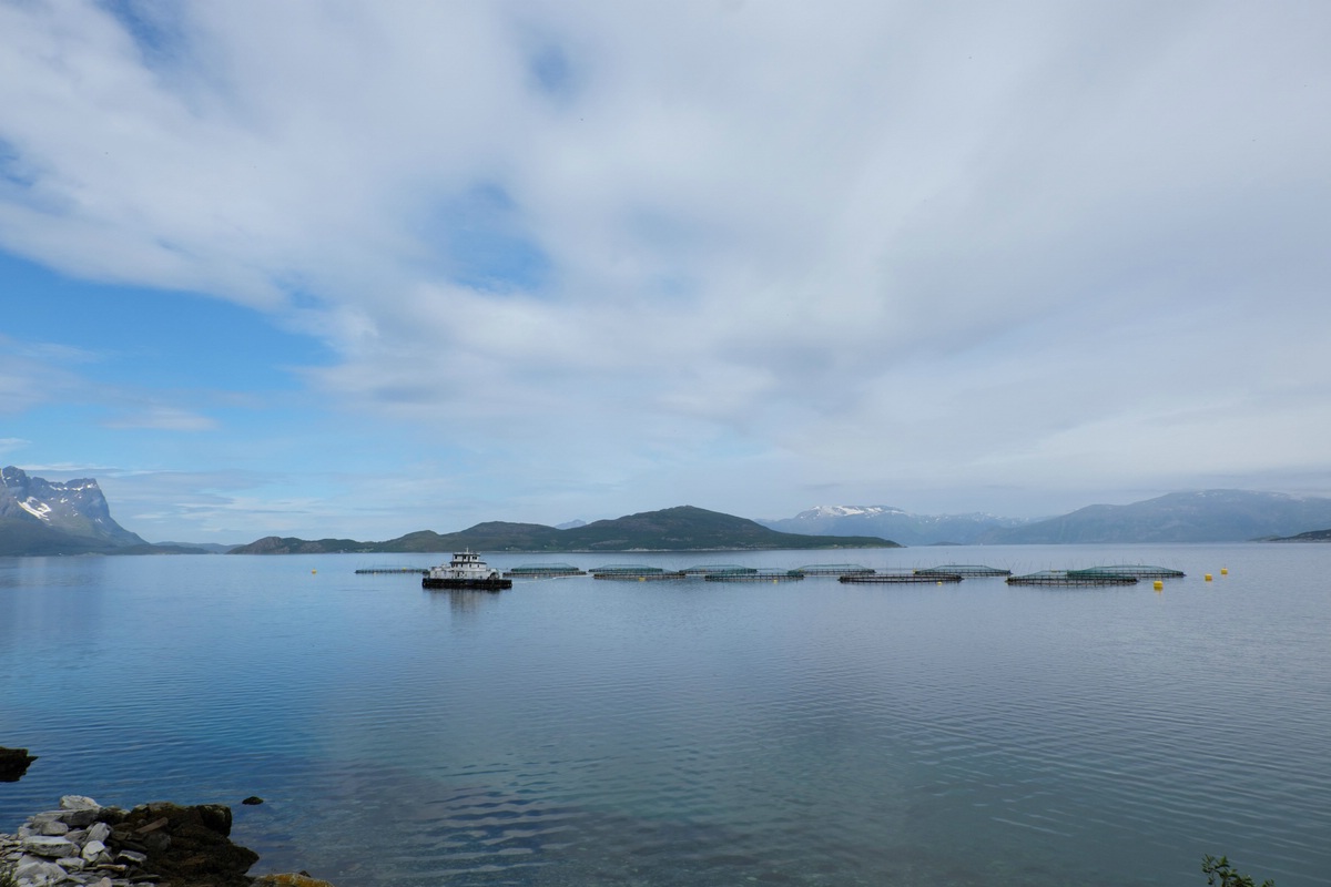 Norwegen Landschaft