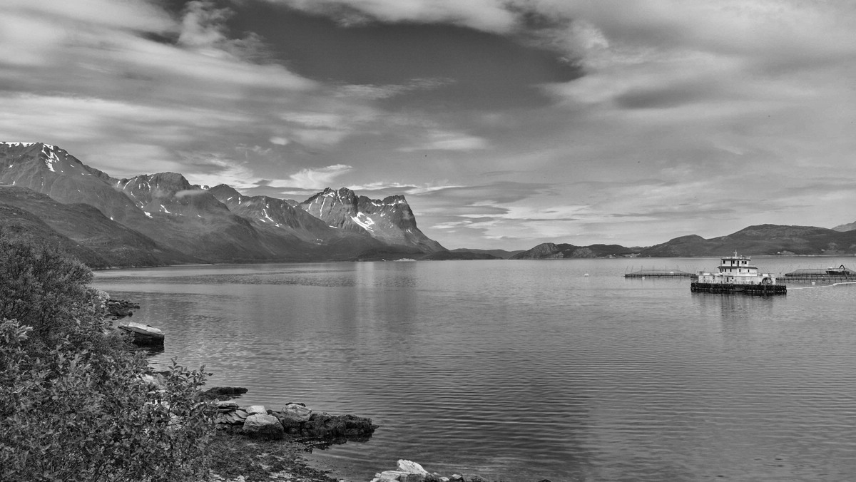 Norwegen Landschaft