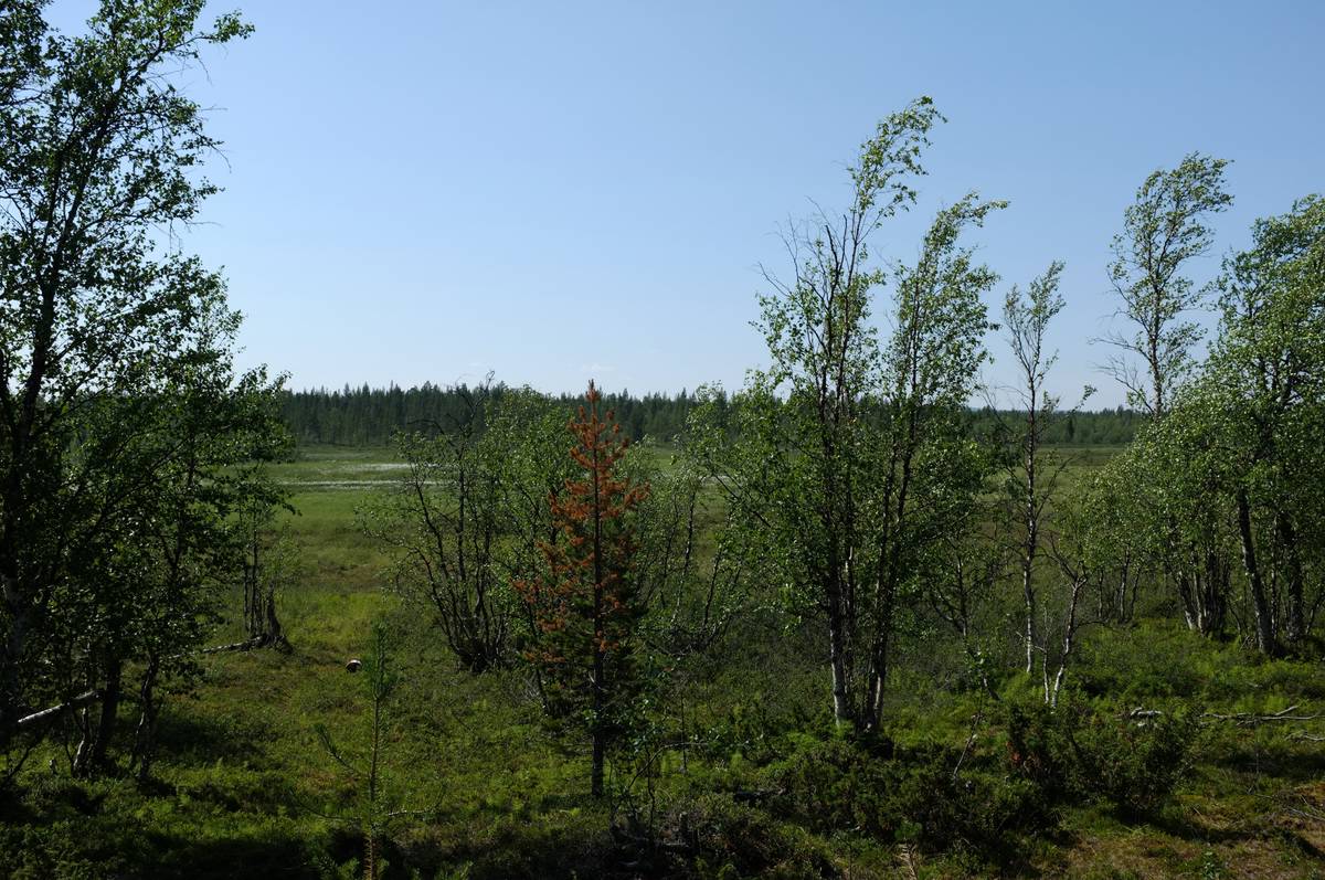 Norwegen Standplatz
