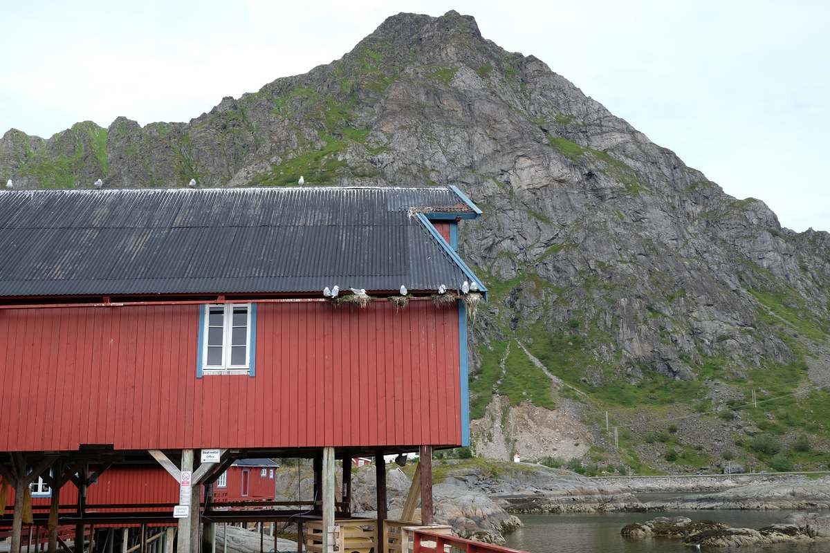 Norwegen Aussicht