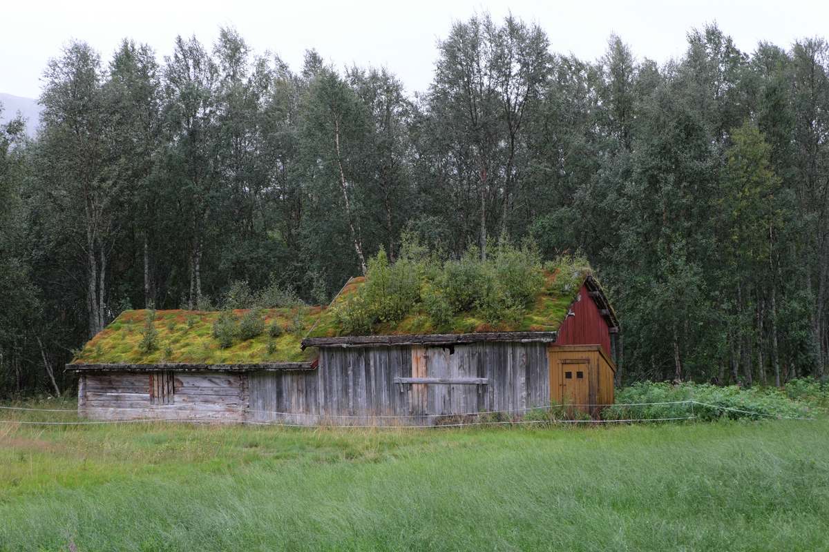 Norwegen Landschaft