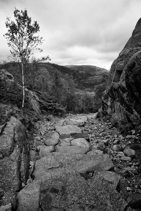 Norwegen Prekestolen