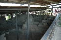 126_Haus_des_Augustus.htm