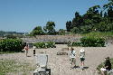 161_Haus_des_Augustus.htm