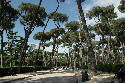 176_Park_Borghese.htm