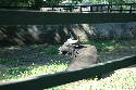 205_Zoo.htm