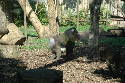 206_Zoo.htm