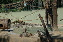 207_Zoo.htm