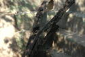 209_Zoo.htm