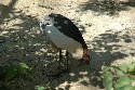 223_Zoo.htm