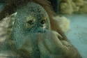 226_Zoo.htm