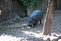 230_Zoo.htm