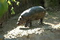 231_Zoo.htm