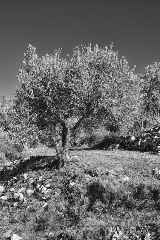 Spanien