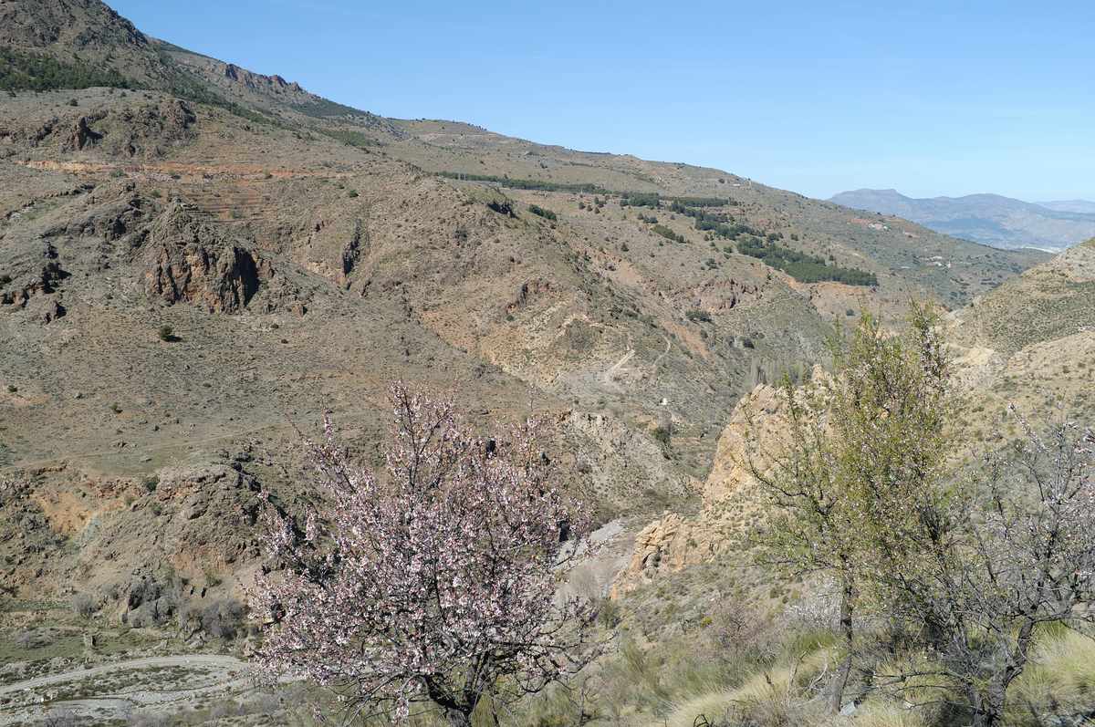 Spanien