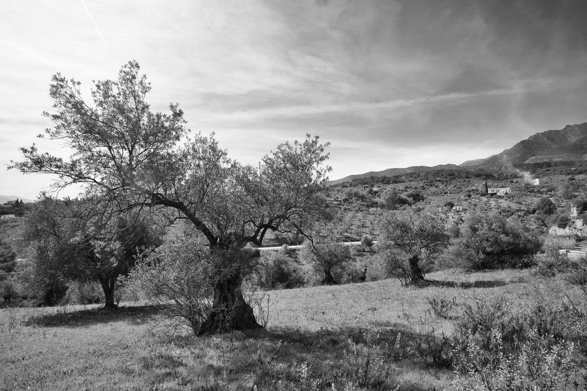 Spanien