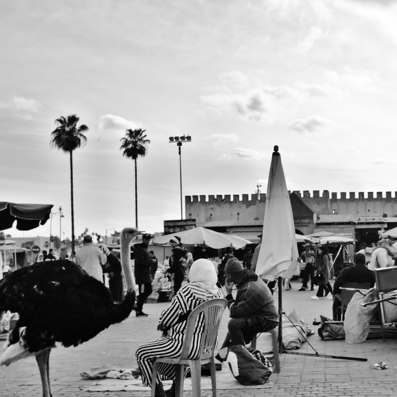 Meknes
