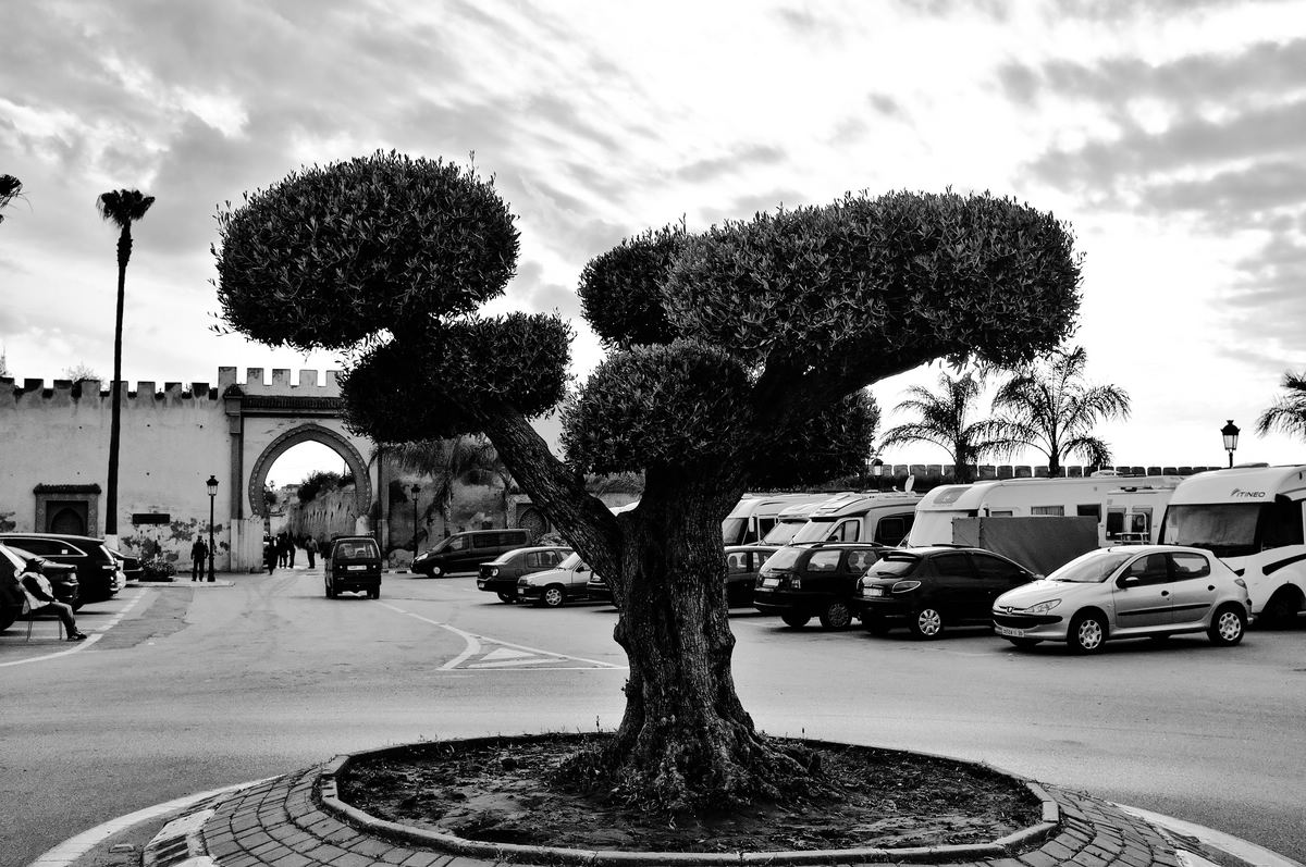 Meknes