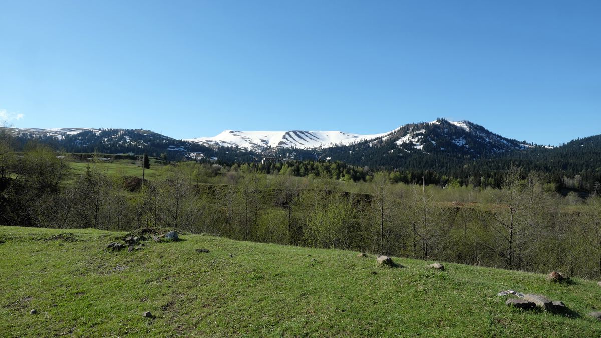 Kakasus