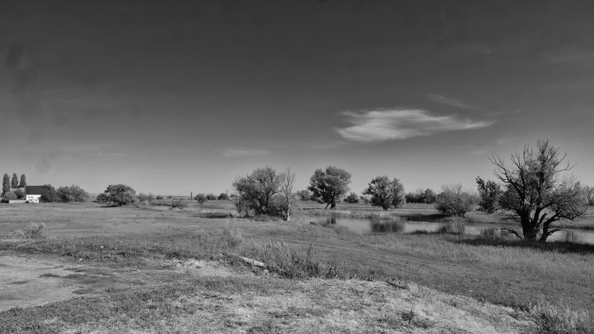 Astrakhan