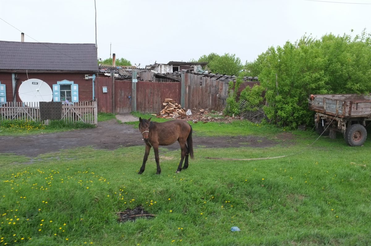 Sokolovka