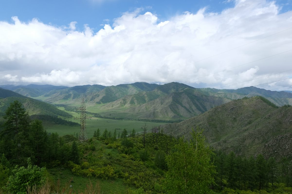 Altai