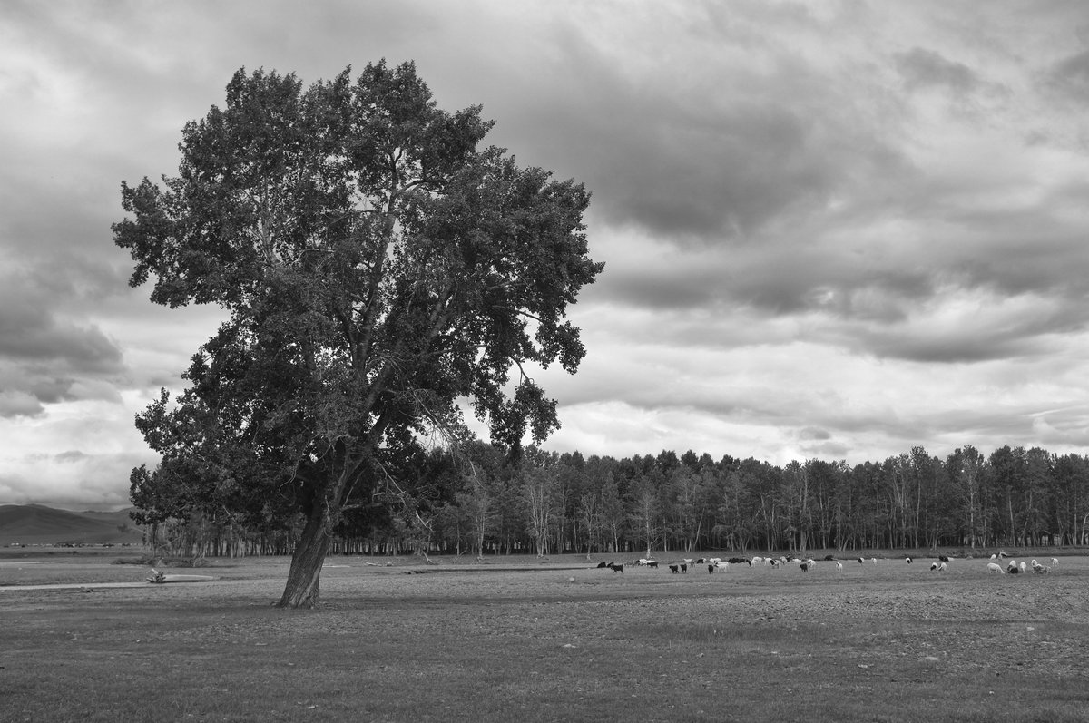 Standplatz