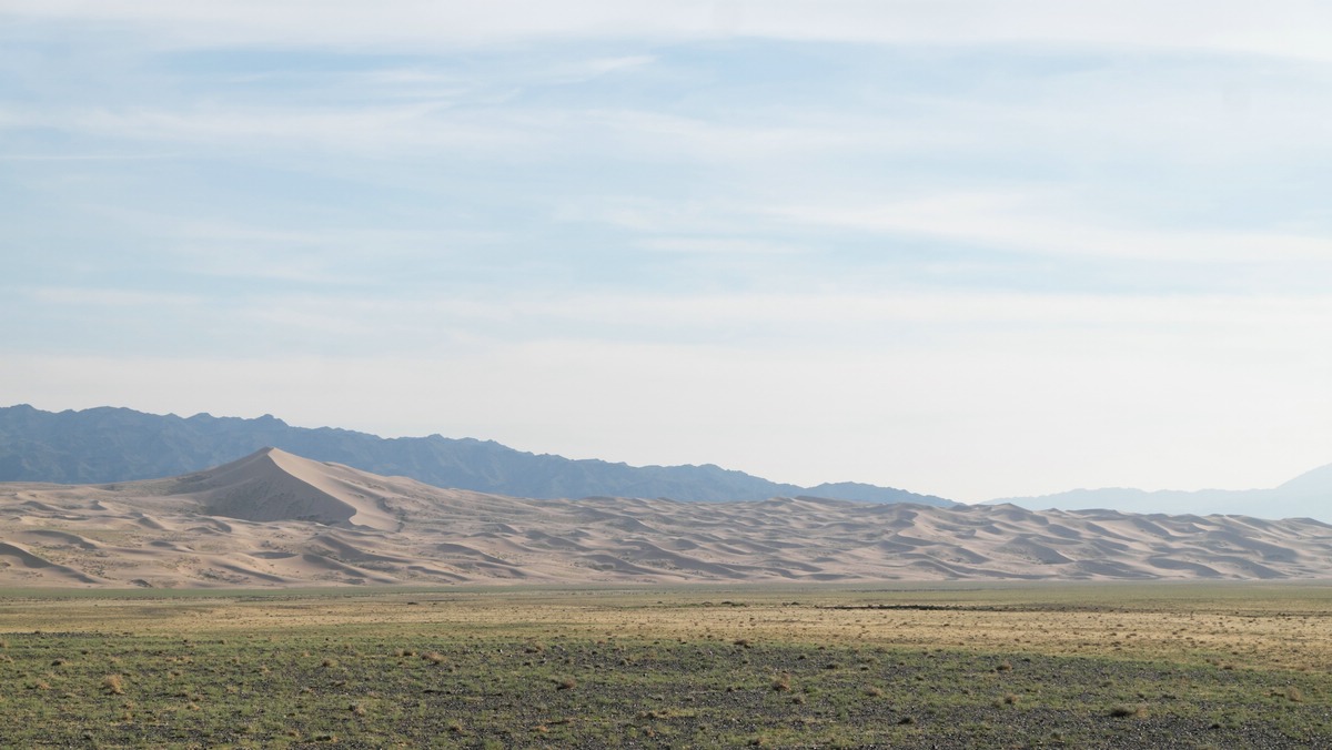 Gobi
