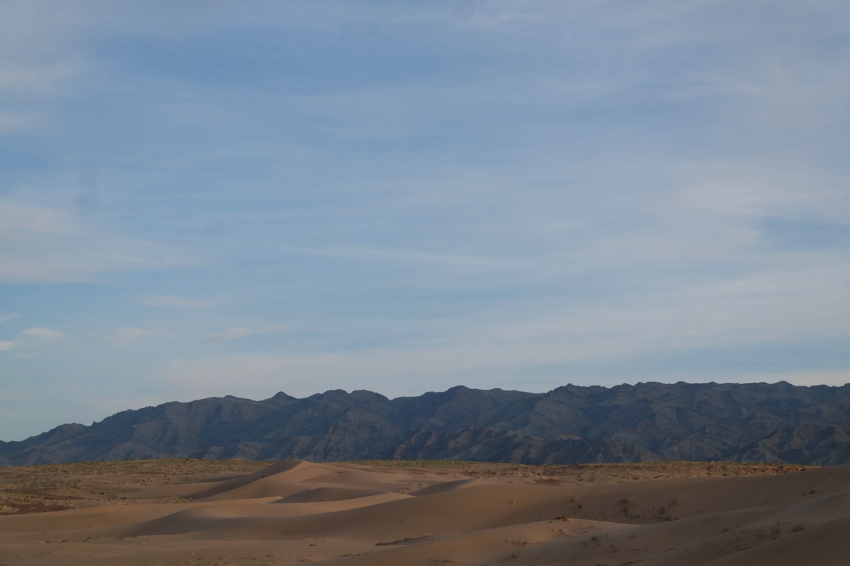Gobi
