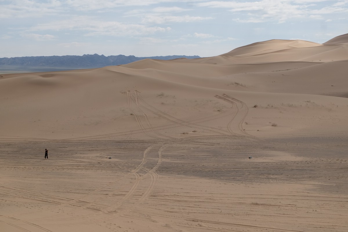 Gobi