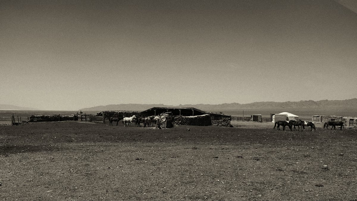 Gobi