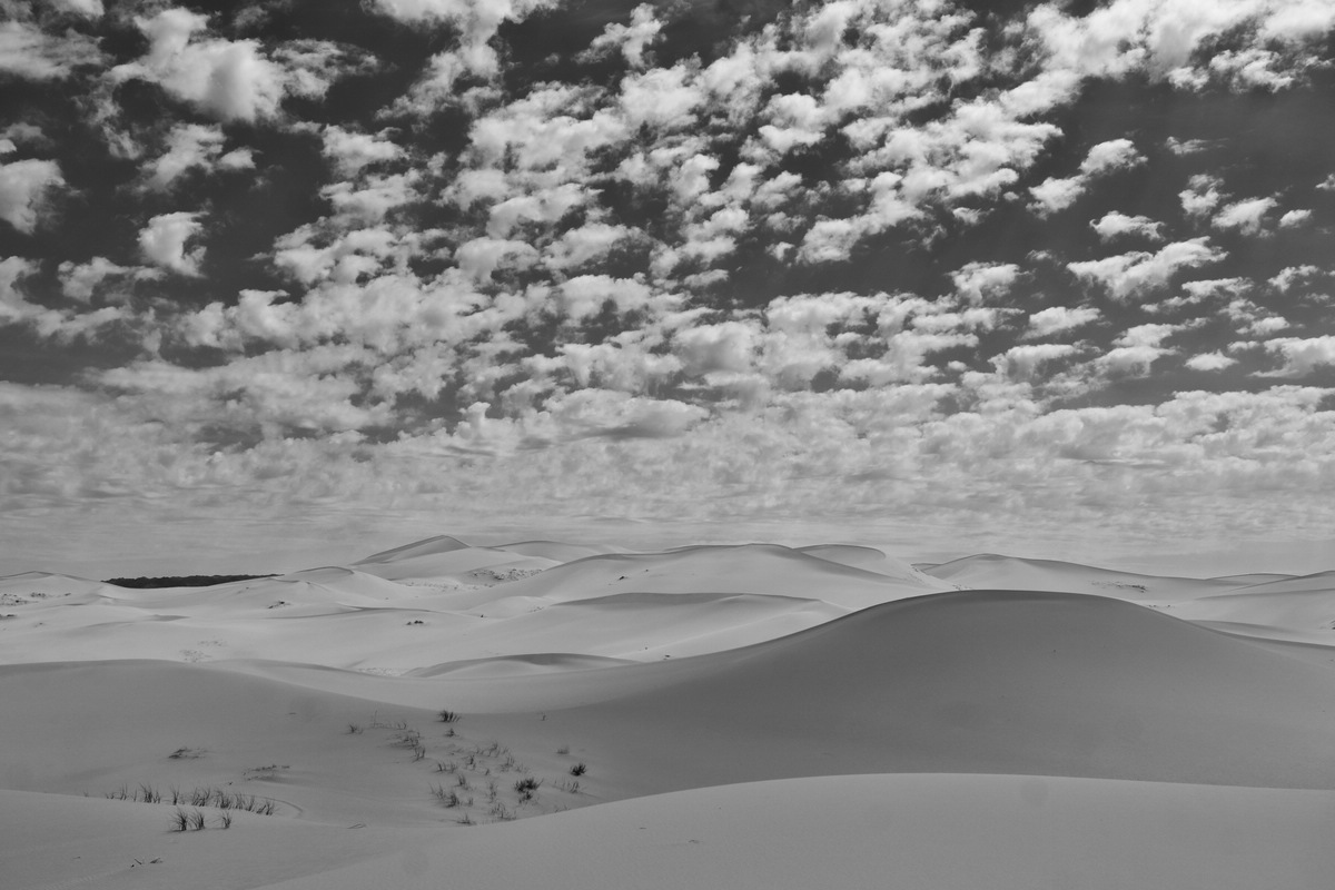 Gobi