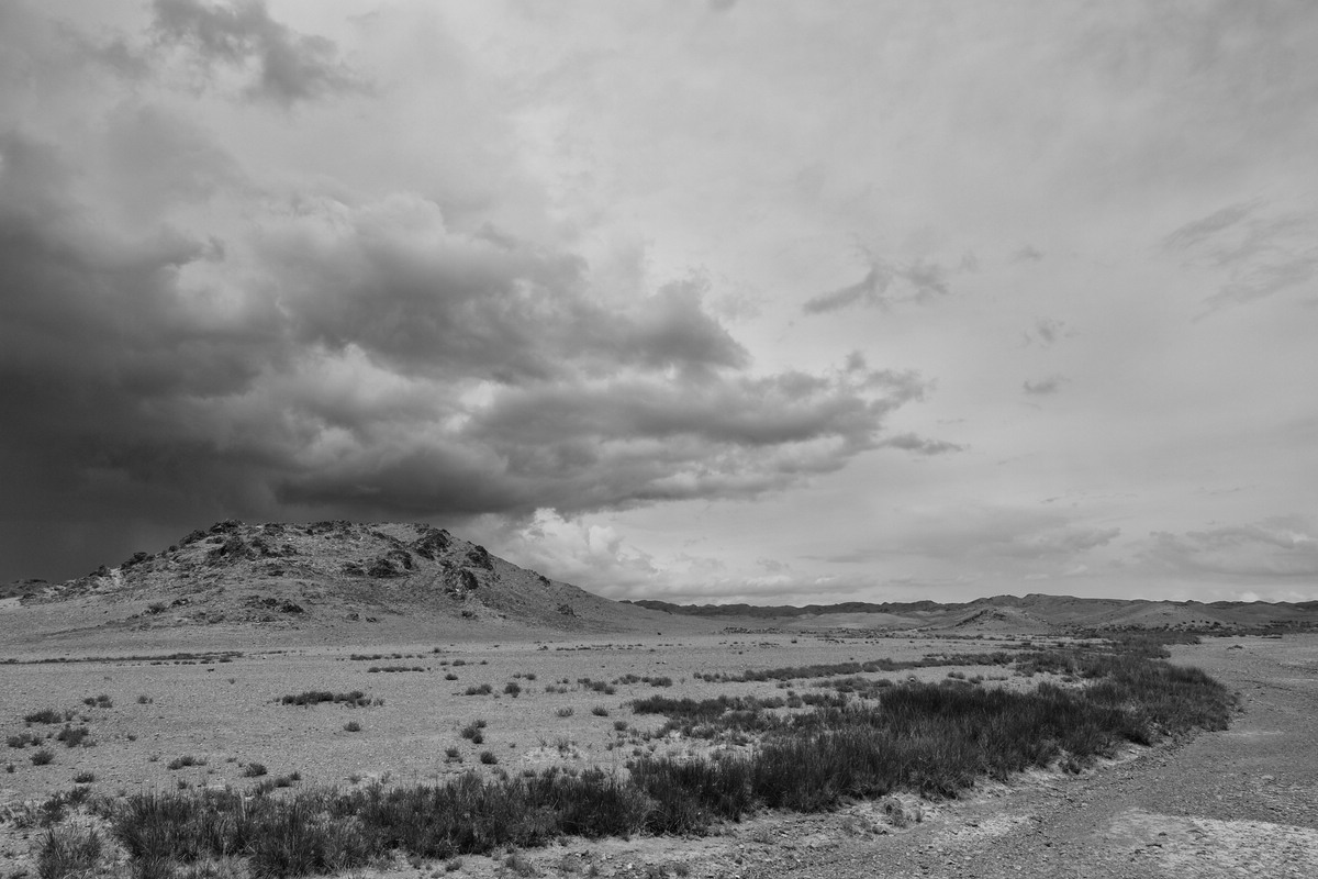 Gobi