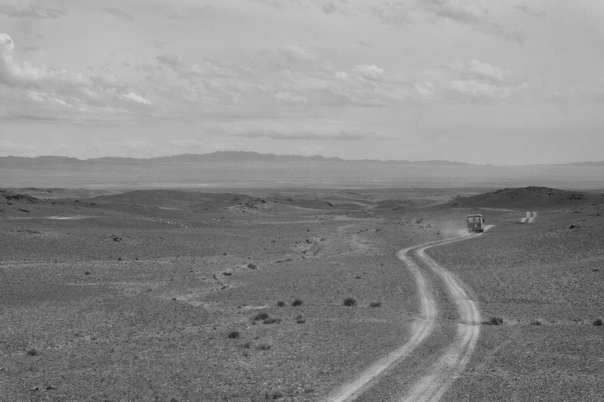 Gobi
