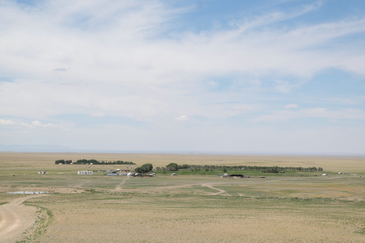 Gobi