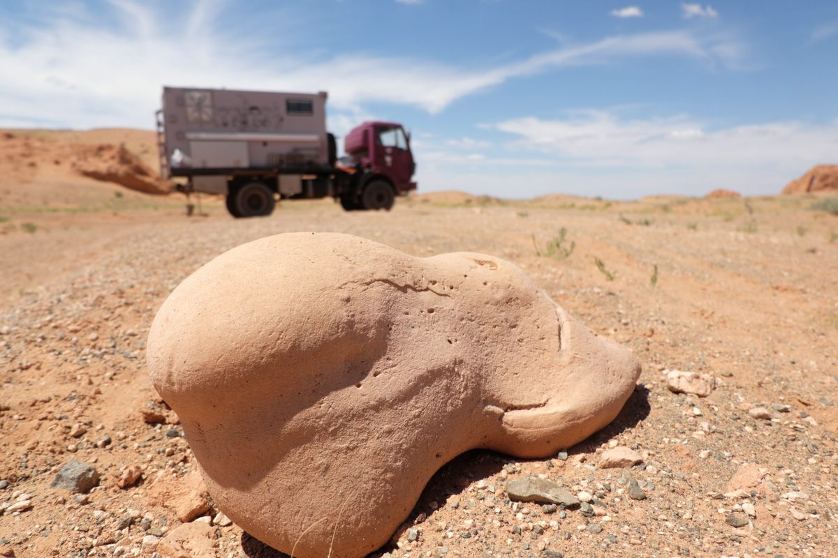Gobi