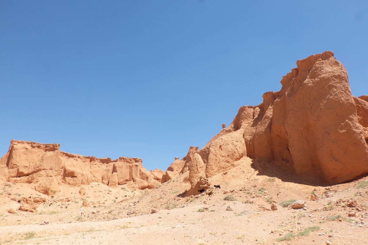 Gobi