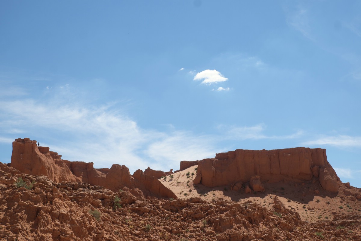 Gobi